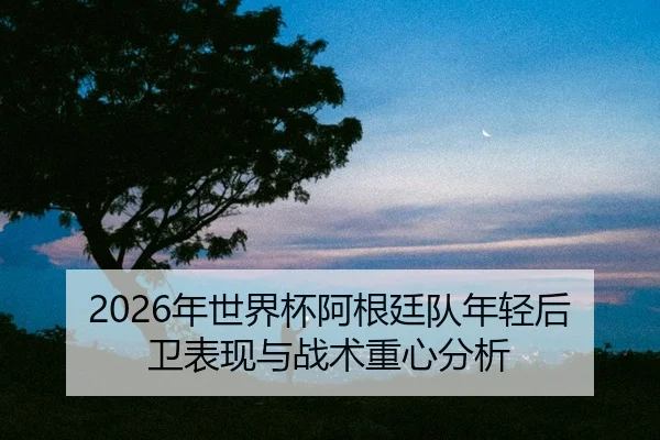 nian-shi-jie-bei-a-gen-ting-dui-nian-qing-hou-wei-biao-xian-yu-zhan-shu-zhong-xin-fen-xi-2-208.jpg