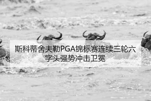 斯科蒂舍夫勒PGA锦标赛连续三轮六字头强势冲击卫冕